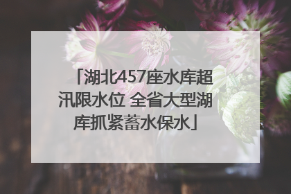 湖北457座水库超汛限水位 全省大型湖库抓紧蓄水保水