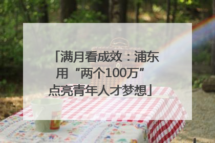 满月看成效：浦东用“两个100万”点亮青年人才梦想