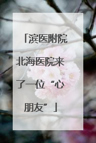 滨医附院北海医院来了一位“心朋友”