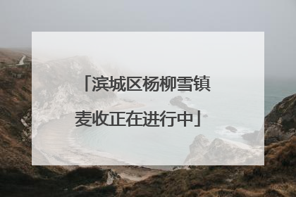 滨城区杨柳雪镇麦收正在进行中