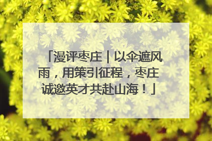 漫评枣庄｜以伞遮风雨，用策引征程，枣庄诚邀英才共赴山海！