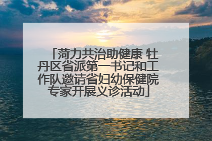 菏力共治助健康 牡丹区省派第一书记和工作队邀请省妇幼保健院专家开展义诊活动