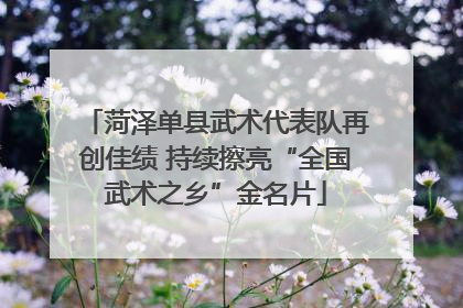 菏泽单县武术代表队再创佳绩 持续擦亮“全国武术之乡”金名片