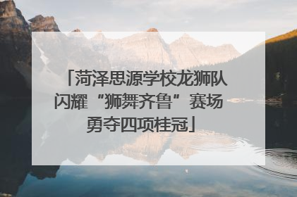 菏泽思源学校龙狮队闪耀“狮舞齐鲁”赛场 勇夺四项桂冠