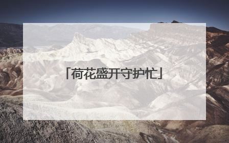 荷花盛开守护忙