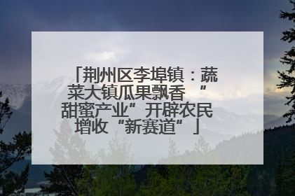 荆州区李埠镇：蔬菜大镇瓜果飘香 “甜蜜产业”开辟农民增收“新赛道”