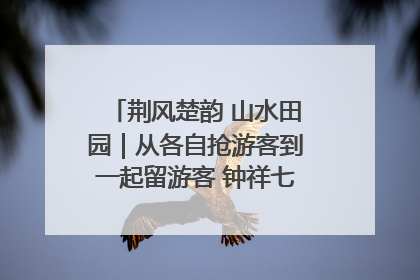 荆风楚韵 山水田园｜从各自抢游客到一起留游客 钟祥七村抱团解了“乡愁”添了“乡酬”