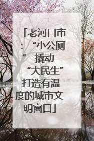 老河口市：“小公厕” 撬动 “大民生” 打造有温度的城市文明窗口