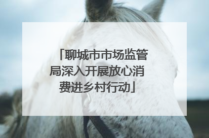 聊城市市场监管局深入开展放心消费进乡村行动