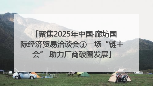 聚焦2025年中国·廊坊国际经济贸易洽谈会③一场“链主会” 助力厂商破圈发展
