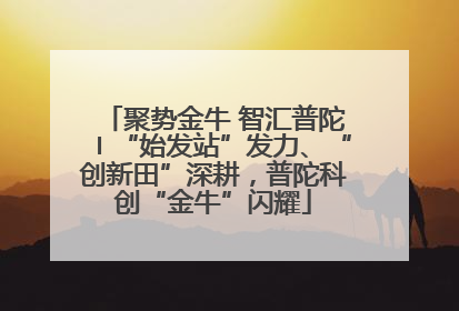 聚势金牛 智汇普陀〡“始发站”发力、“创新田”深耕，普陀科创“金牛”闪耀