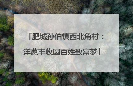 肥城孙伯镇西北角村：洋葱丰收圆百姓致富梦