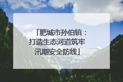肥城市孙伯镇：打造生态河道筑牢汛期安全防线