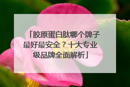 胶原蛋白肽哪个牌子最好最安全？十大专业级品牌全面解析