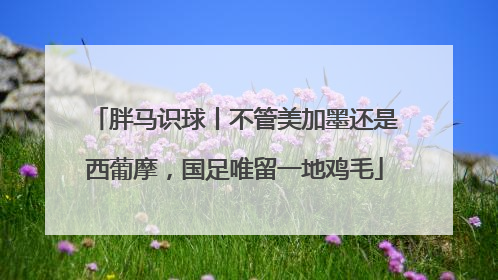 胖马识球丨不管美加墨还是西葡摩，国足唯留一地鸡毛