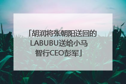 胡润将张朝阳送回的LABUBU送给小马智行CEO彭军