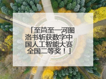 至简至一河图洛书斩获数字中国人工智能大赛全国二等奖！