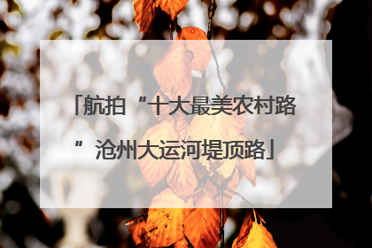 航拍“十大最美农村路”沧州大运河堤顶路