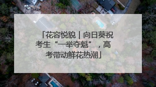 花容悦貌｜向日葵祝考生“一举夺魁”，高考带动鲜花热潮