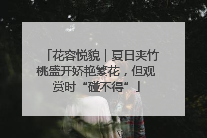 花容悦貌｜夏日夹竹桃盛开娇艳繁花，但观赏时“碰不得”