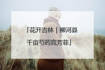 花开吉林｜柳河县千亩芍药竞芳菲