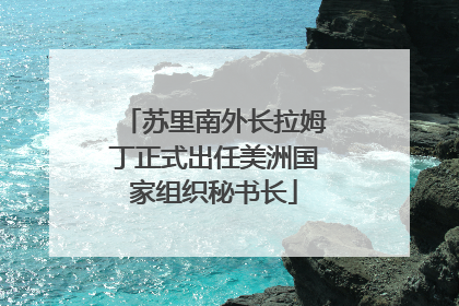 苏里南外长拉姆丁正式出任美洲国家组织秘书长
