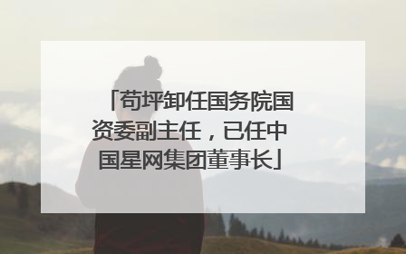 苟坪卸任国务院国资委副主任，已任中国星网集团董事长