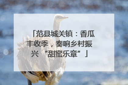 范县城关镇：香瓜丰收季，奏响乡村振兴 “甜蜜乐章”