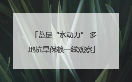 蓄足“水动力” 多地抗旱保粮一线观察