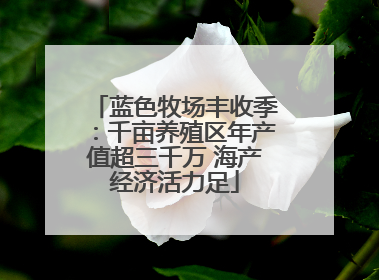 蓝色牧场丰收季：千亩养殖区年产值超三千万 海产经济活力足