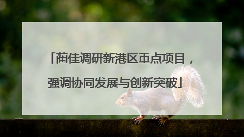 蔺佳调研新港区重点项目，强调协同发展与创新突破