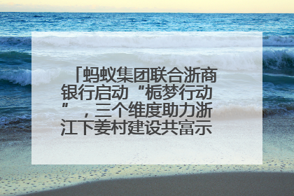 蚂蚁集团联合浙商银行启动“栀梦行动”，三个维度助力浙江下姜村建设共富示范区示范点