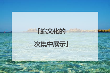 蛇文化的一次集中展示