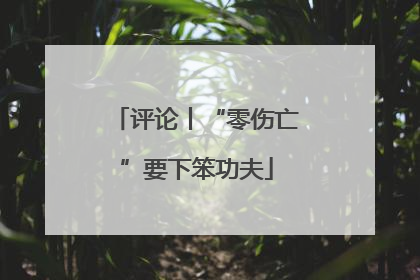 评论丨“零伤亡”要下笨功夫