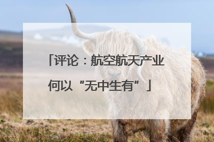 评论：航空航天产业何以“无中生有”
