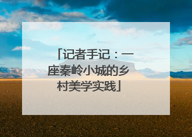 记者手记：一座秦岭小城的乡村美学实践