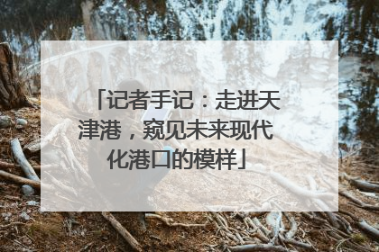 记者手记：走进天津港，窥见未来现代化港口的模样