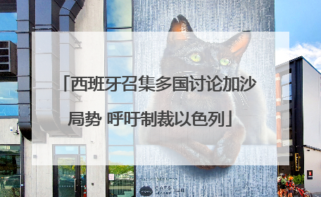 西班牙召集多国讨论加沙局势 呼吁制裁以色列