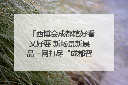 西博会成都馆好看又好耍 新场景新展品一网打尽“成都智造”｜西博视界