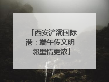 西安浐灞国际港：端午传文明 邻里情更浓