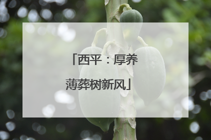 西平：厚养薄葬树新风