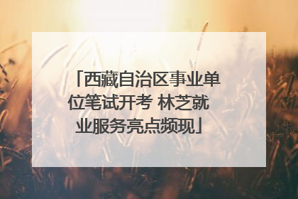 西藏自治区事业单位笔试开考 林芝就业服务亮点频现