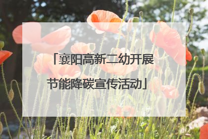 襄阳高新二幼开展节能降碳宣传活动