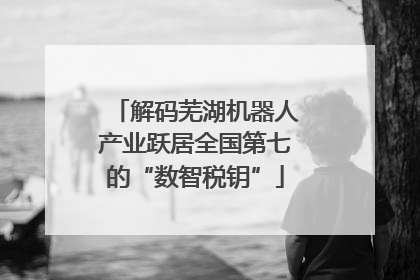 解码芜湖机器人产业跃居全国第七的“数智税钥”