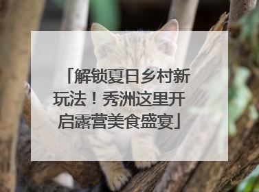 解锁夏日乡村新玩法！秀洲这里开启露营美食盛宴