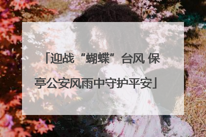 迎战“蝴蝶”台风 保亭公安风雨中守护平安