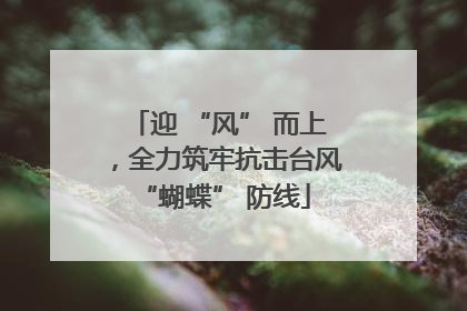 迎 “风” 而上，全力筑牢抗击台风 “蝴蝶” 防线