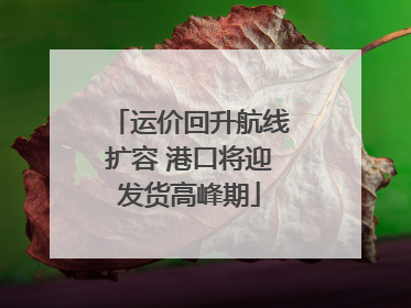 运价回升航线扩容 港口将迎发货高峰期