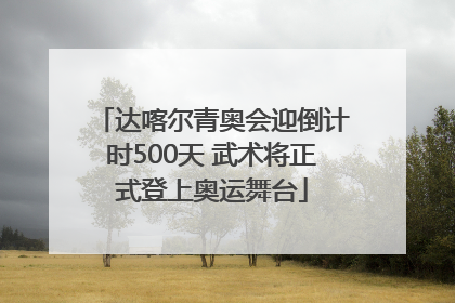 达喀尔青奥会迎倒计时500天 武术将正式登上奥运舞台