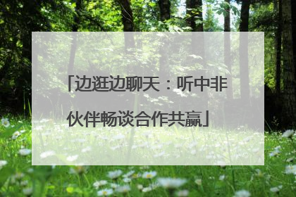 边逛边聊天：听中非伙伴畅谈合作共赢
